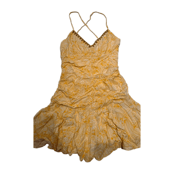 Zara Yellow Paisley Drop Waist Dress