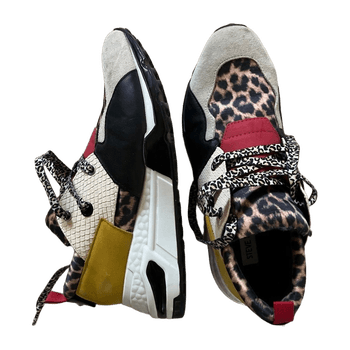 Steve madden sneakers