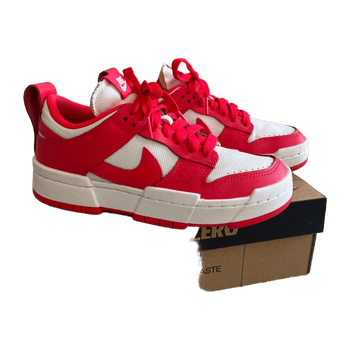Nike Dunk Disrupt