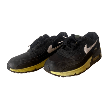 Nike air max sneakers