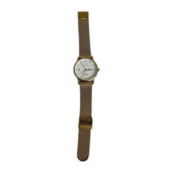 Triwa watch