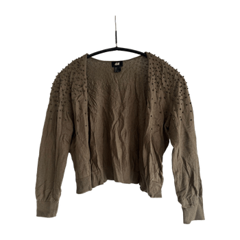 H&m cardigan