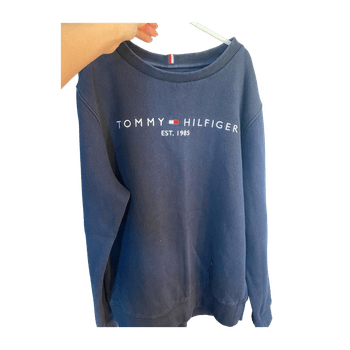 Tommy hilfiger hoodie