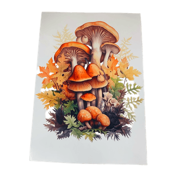 Valokuvapaperi tarra - photo paper sticker