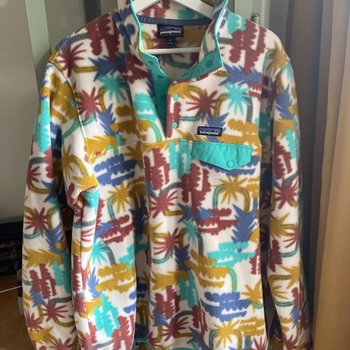 Patagonia hoodie