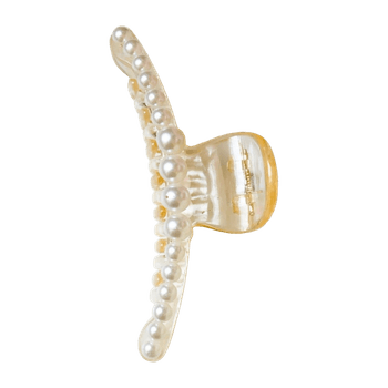 Hiusklipsi iso accessory