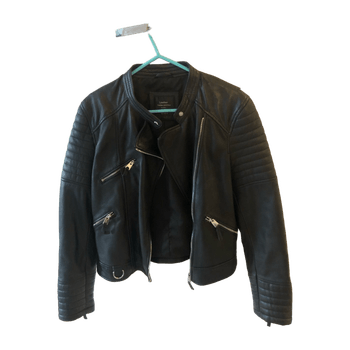 Zara coat