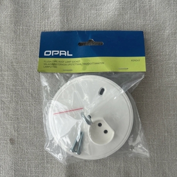 Opal Flush Roof Lamp Socket