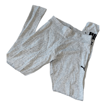 Puma Retuusid