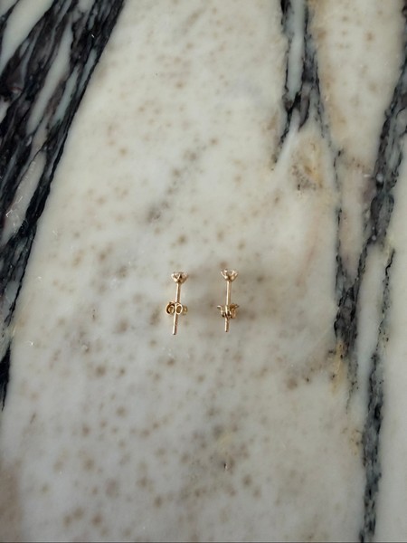 14K kultakorvakorut