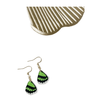 Earring jewelry