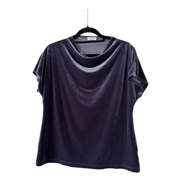 Blue velvet top
