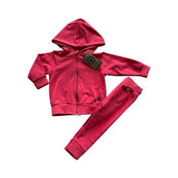 Pink hooded sweatshirt and pants set 74 