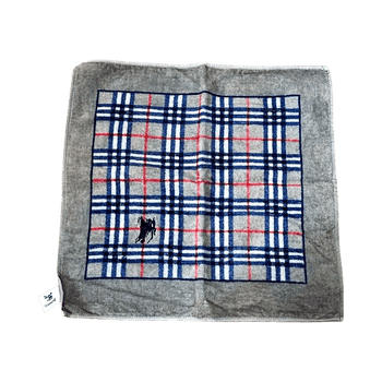 Burberrys towel