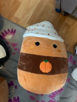 14” Paislynn squishmallow