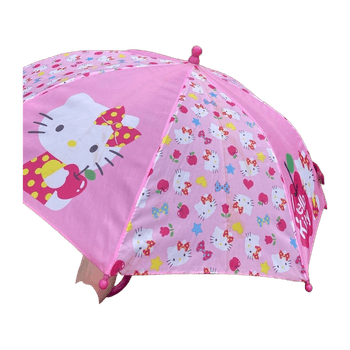 Sanrio accessory