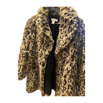 H&m coat