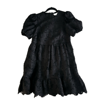 & other stories dress