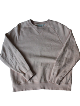 Carhatt wip hoodie