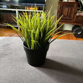 Aritificial potted plant