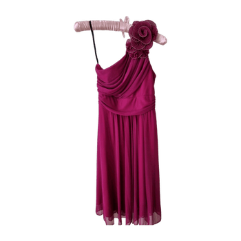Dollar dress