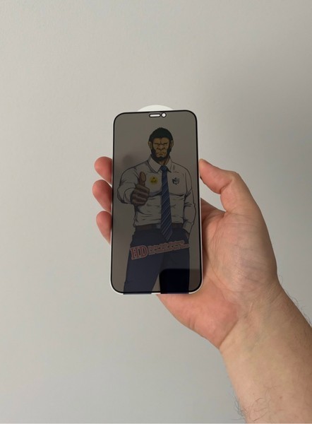 Apple modeliams privatus apsauginiai stikliukai