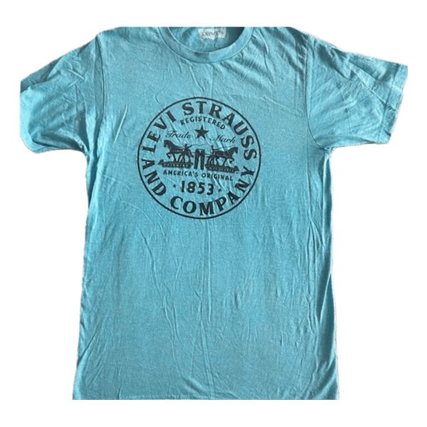 Levi's turquoise graphic t-shirt