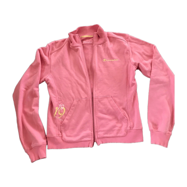 Retro champion collage hoodie