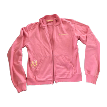 Retro champion collage hoodie