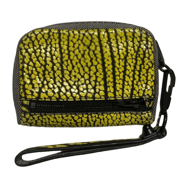 Alexander wang bag
