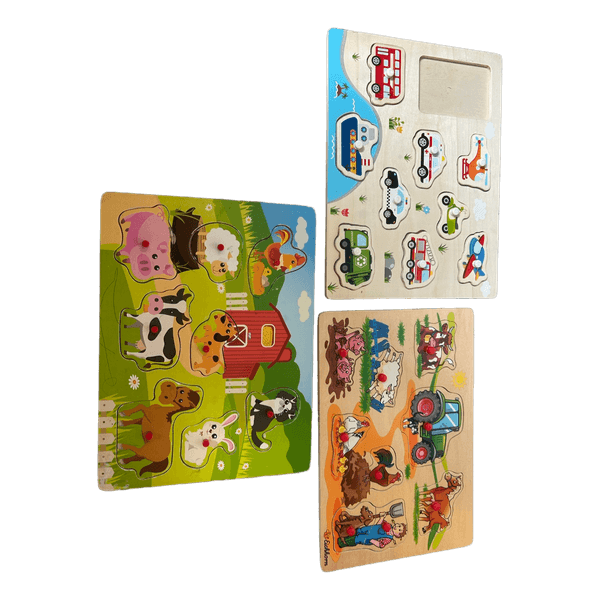 Three wooden peg puzzles