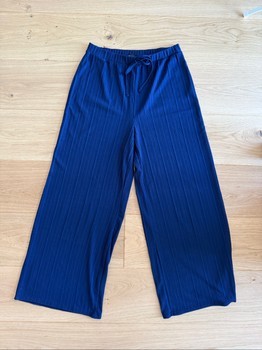 Blue pleated wide-leg trousers