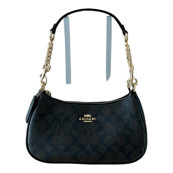 coach teri bag