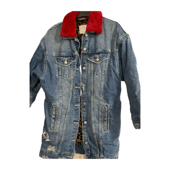 Zara coat