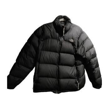 The north face coat
