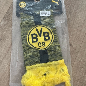 Borussia Dortmund huivi