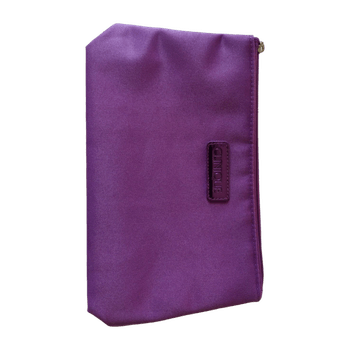 Clinique cosmetic bag