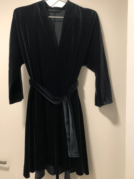 Zara dress