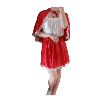 Little red riding hood costume 