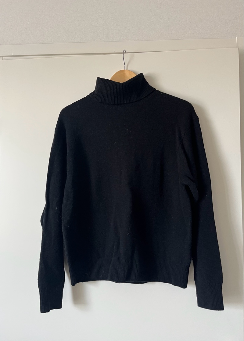 Uniqlo Turtleneck Sweater
