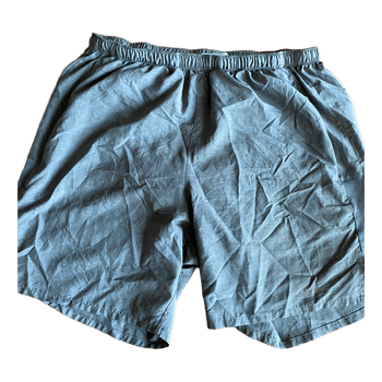 Nike Dri-Fit shorts