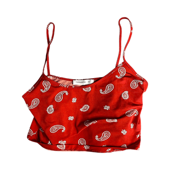 Terranova red paisley crop top