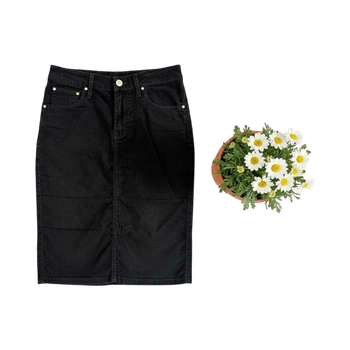 Guess midi seelik