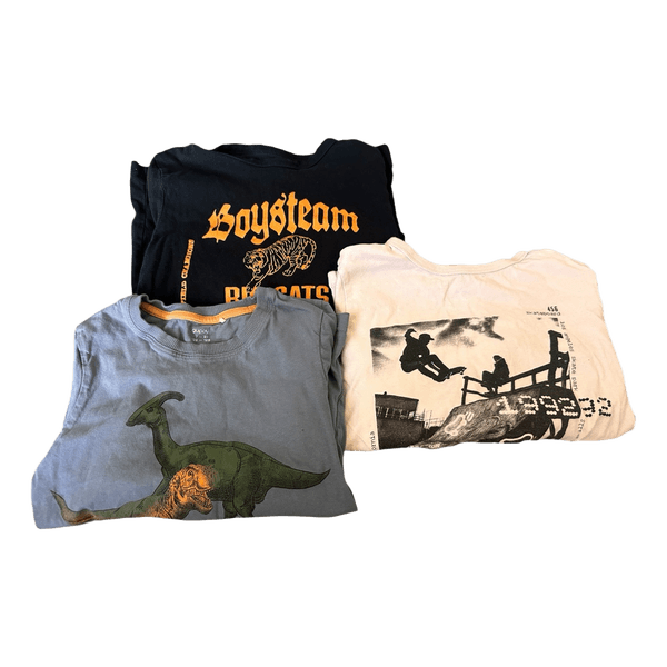 Boys long sleeve t-shirts bundle
