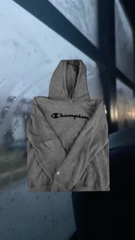 Grey Champion hoodie