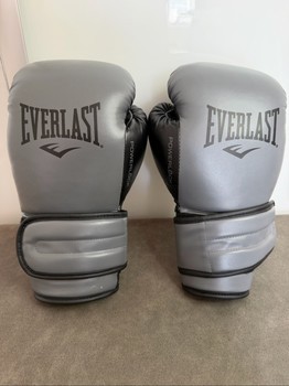 Everlast Powerlock boxing gloves
