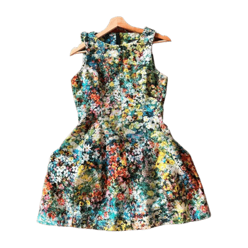 Zara dress
