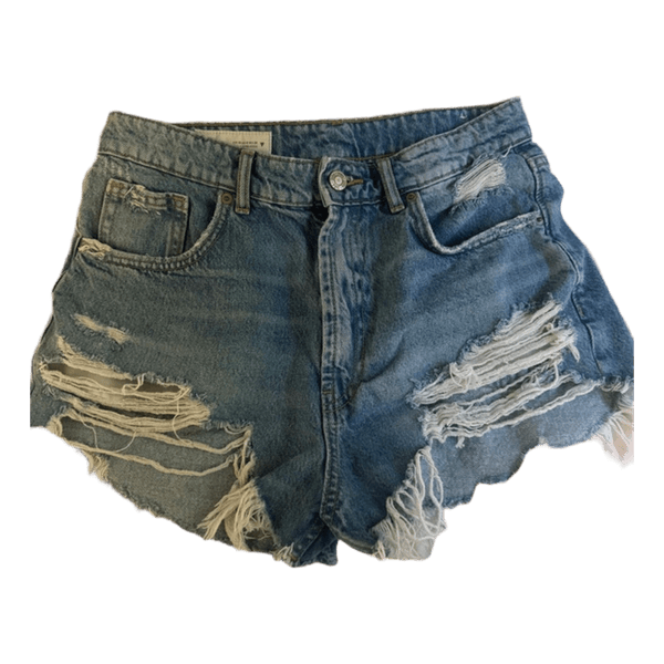 Zara shorts