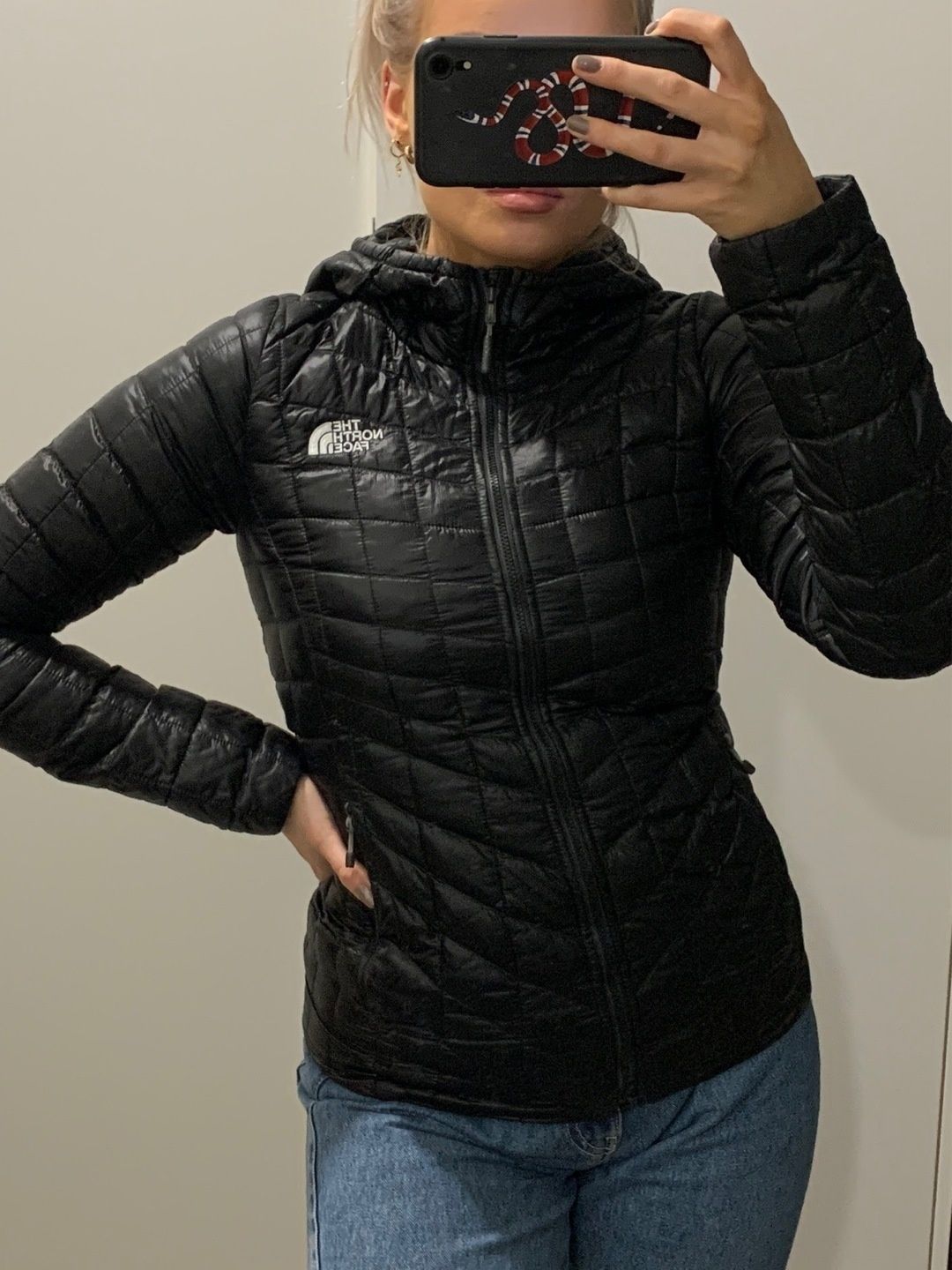 The north face coat