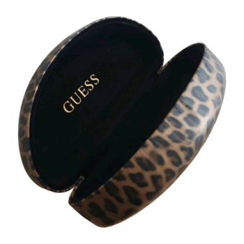 Sunglasses Case